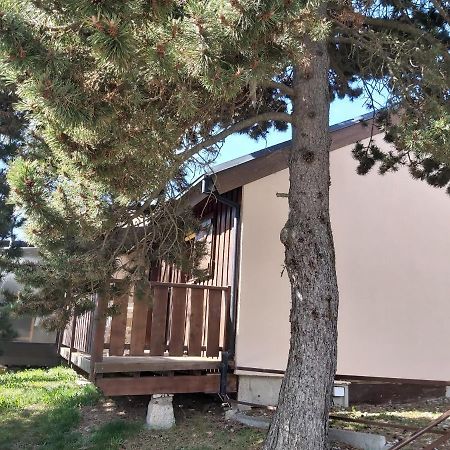 Chalet De L Ours Bolquere Экстерьер фото