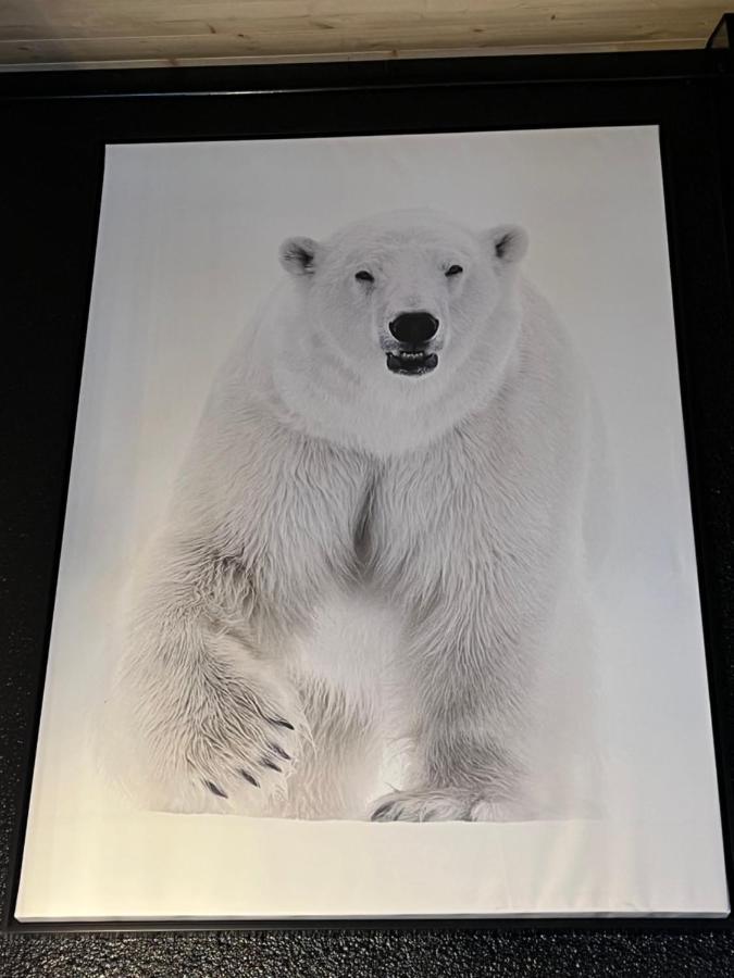 Chalet De L Ours Bolquere Экстерьер фото