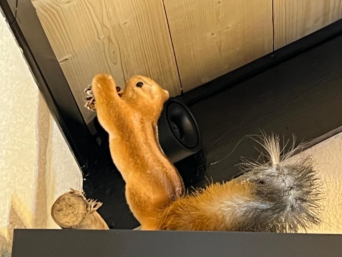 Chalet De L Ours Bolquere Экстерьер фото